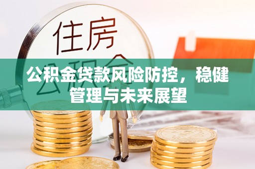 隆德公积金贷款风险防控，稳健管理与未来展望