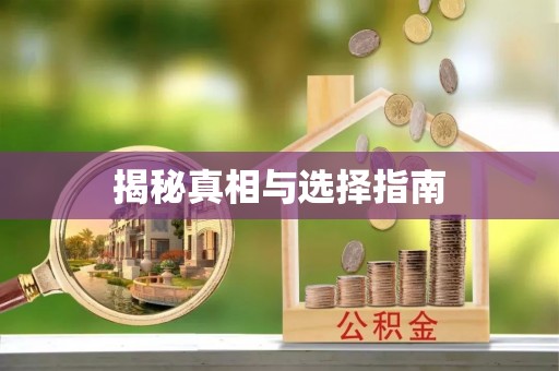 隆德揭秘真相与选择指南