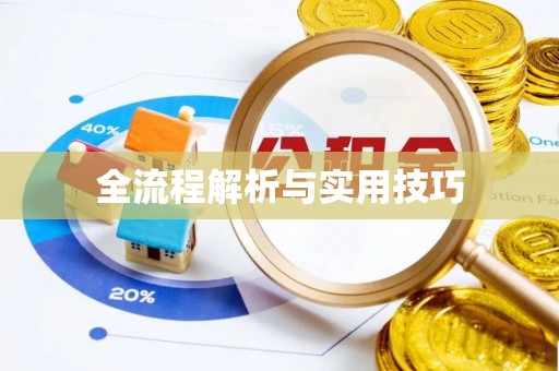 隆德全流程解析与实用技巧