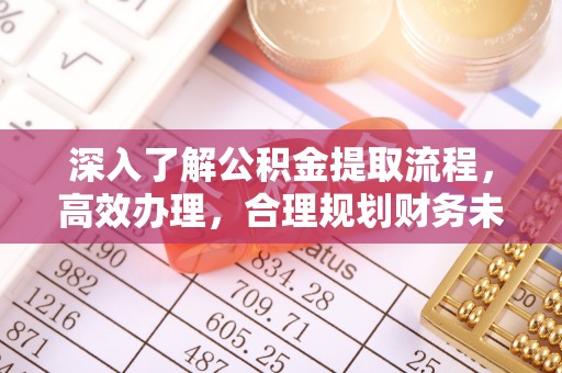 隆德深入了解公积金提取流程，高效办理，合理规划财务未来