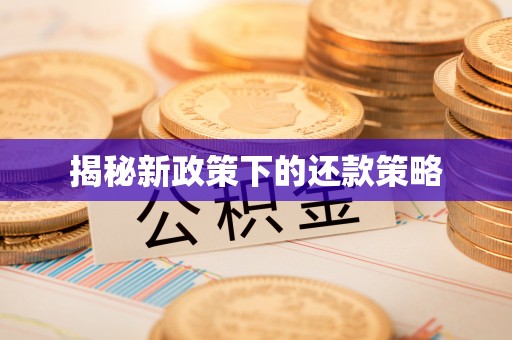 隆德揭秘新政策下的还款策略