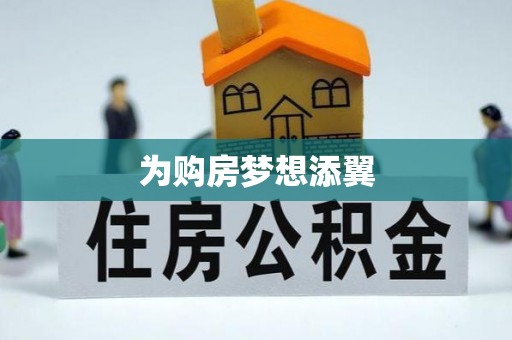 隆德为购房梦想添翼