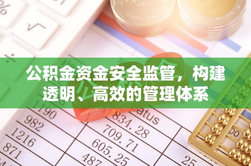 隆德公积金资金安全监管，构建透明、高效的管理体系