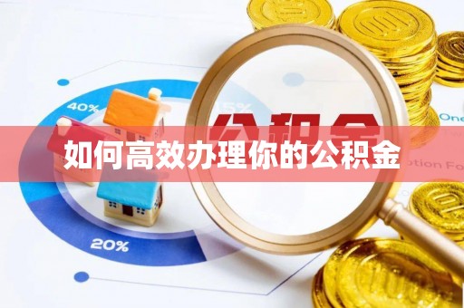 隆德如何高效办理你的公积金