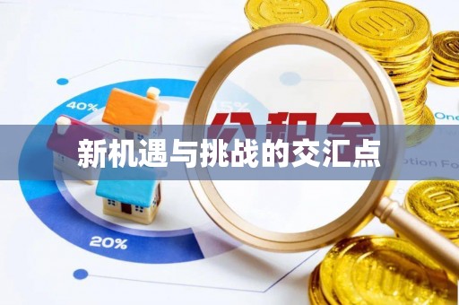 隆德新机遇与挑战的交汇点