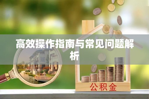 隆德高效操作指南与常见问题解析