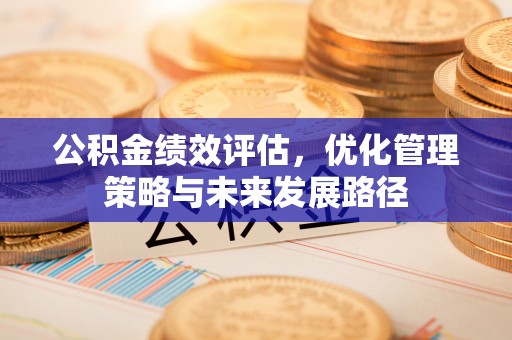 隆德公积金绩效评估，优化管理策略与未来发展路径