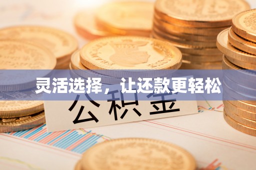 隆德灵活选择，让还款更轻松