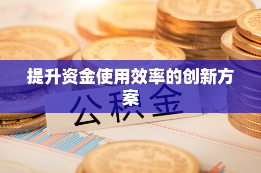 隆德提升资金使用效率的创新方案