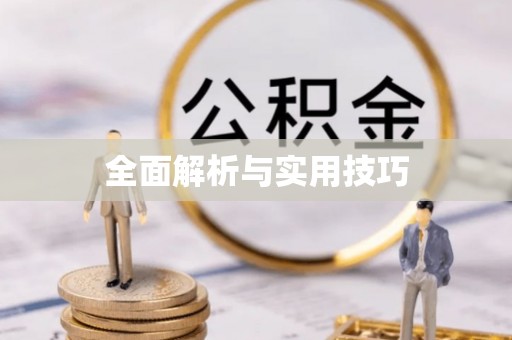 隆德全面解析与实用技巧