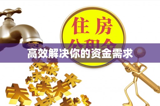 隆德高效解决你的资金需求