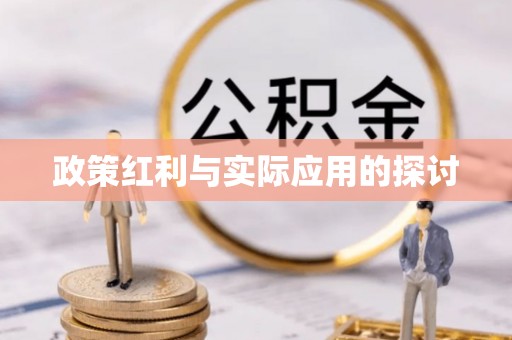 隆德政策红利与实际应用的探讨
