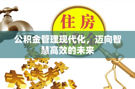 隆德公积金管理现代化，迈向智慧高效的未来