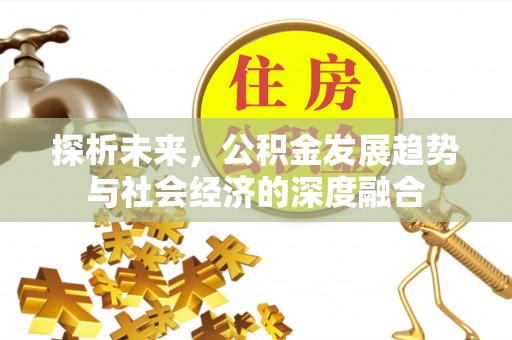 隆德探析未来，公积金发展趋势与社会经济的深度融合
