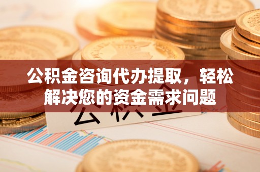 隆德公积金咨询代办提取，轻松解决您的资金需求问题