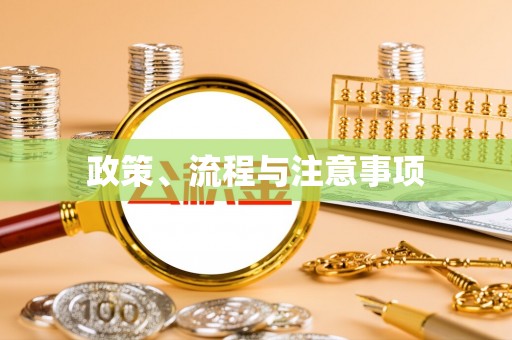 隆德政策、流程与注意事项