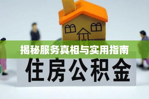 隆德揭秘服务真相与实用指南