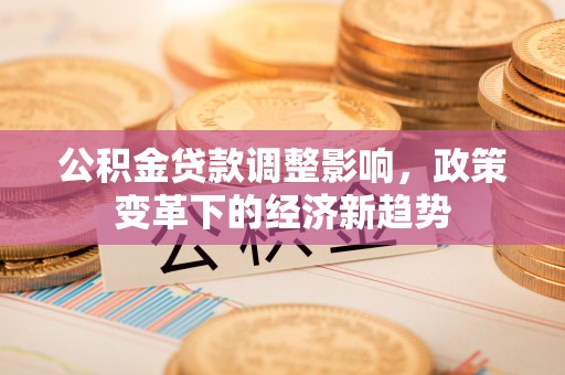隆德公积金贷款调整影响，政策变革下的经济新趋势