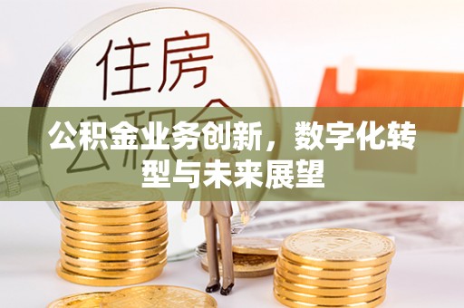 隆德公积金业务创新，数字化转型与未来展望