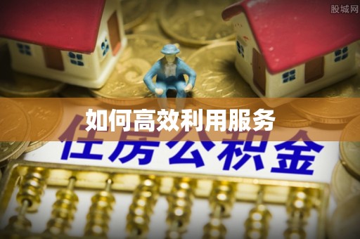 隆德如何高效利用服务
