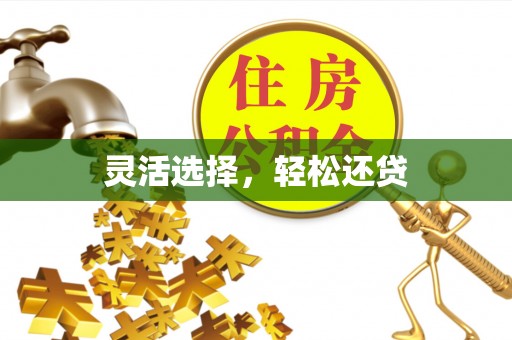 隆德灵活选择，轻松还贷