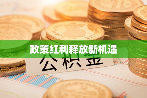 隆德政策红利释放新机遇