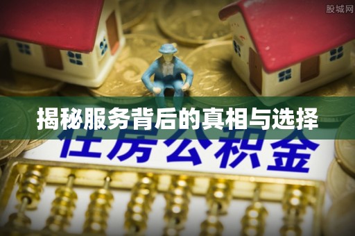 隆德揭秘服务背后的真相与选择
