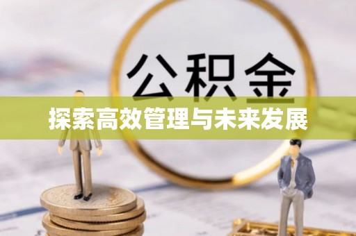 隆德探索高效管理与未来发展