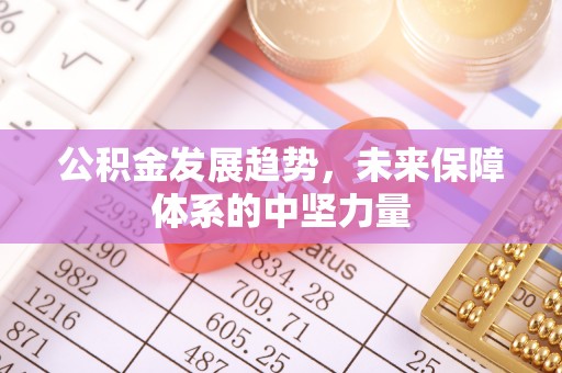 隆德公积金发展趋势，未来保障体系的中坚力量