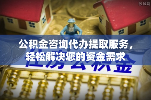 隆德公积金咨询代办提取服务，轻松解决您的资金需求