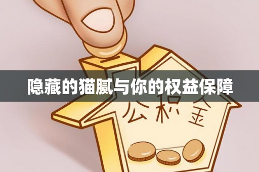 隆德隐藏的猫腻与你的权益保障