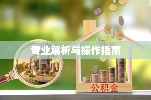 隆德专业解析与操作指南