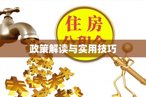 隆德政策解读与实用技巧