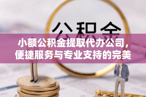 隆德小额公积金提取代办公司，便捷服务与专业支持的完美结合