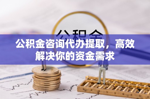 隆德公积金咨询代办提取，高效解决你的资金需求