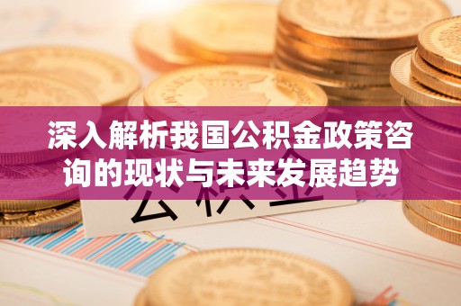 隆德深入解析我国公积金政策咨询的现状与未来发展趋势