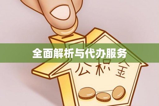 隆德全面解析与代办服务
