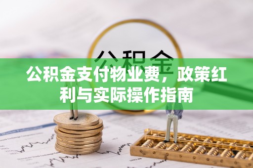 隆德公积金支付物业费，政策红利与实际操作指南