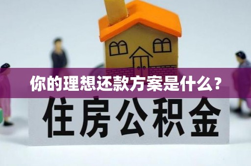 隆德你的理想还款方案是什么？