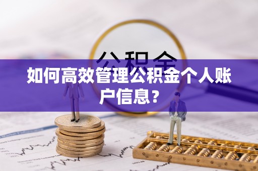 隆德如何高效管理公积金个人账户信息？