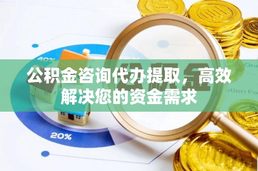 隆德公积金咨询代办提取，高效解决您的资金需求