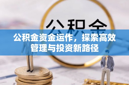 隆德公积金资金运作，探索高效管理与投资新路径
