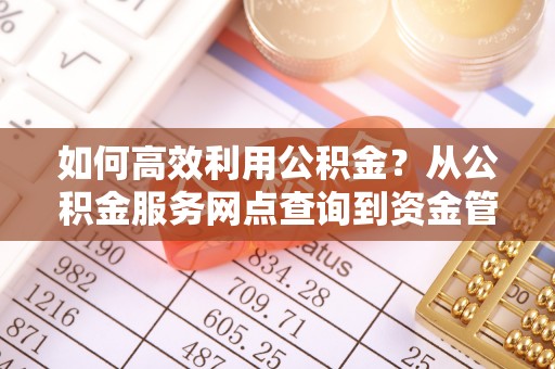隆德如何高效利用公积金？从公积金服务网点查询到资金管理全攻略