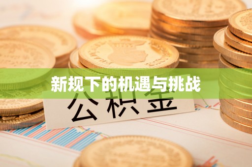隆德新规下的机遇与挑战