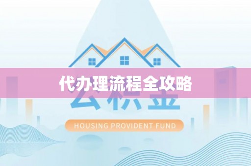 隆德代办理流程全攻略