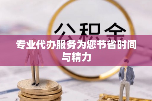 隆德专业代办服务为您节省时间与精力