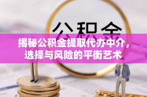 隆德揭秘公积金提取代办中介，选择与风险的平衡艺术
