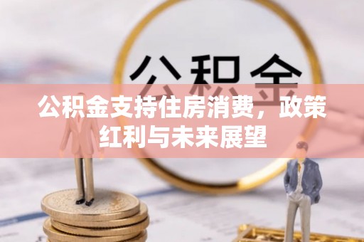 隆德公积金支持住房消费，政策红利与未来展望