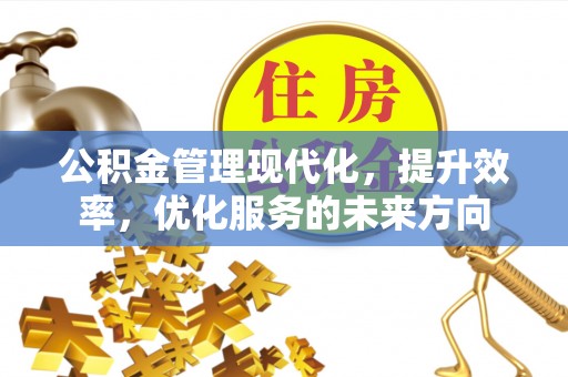 隆德公积金管理现代化，提升效率，优化服务的未来方向