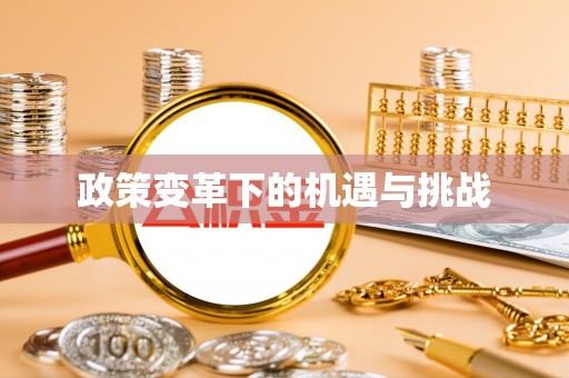 隆德政策变革下的机遇与挑战